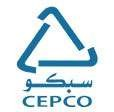 Client 1 Company